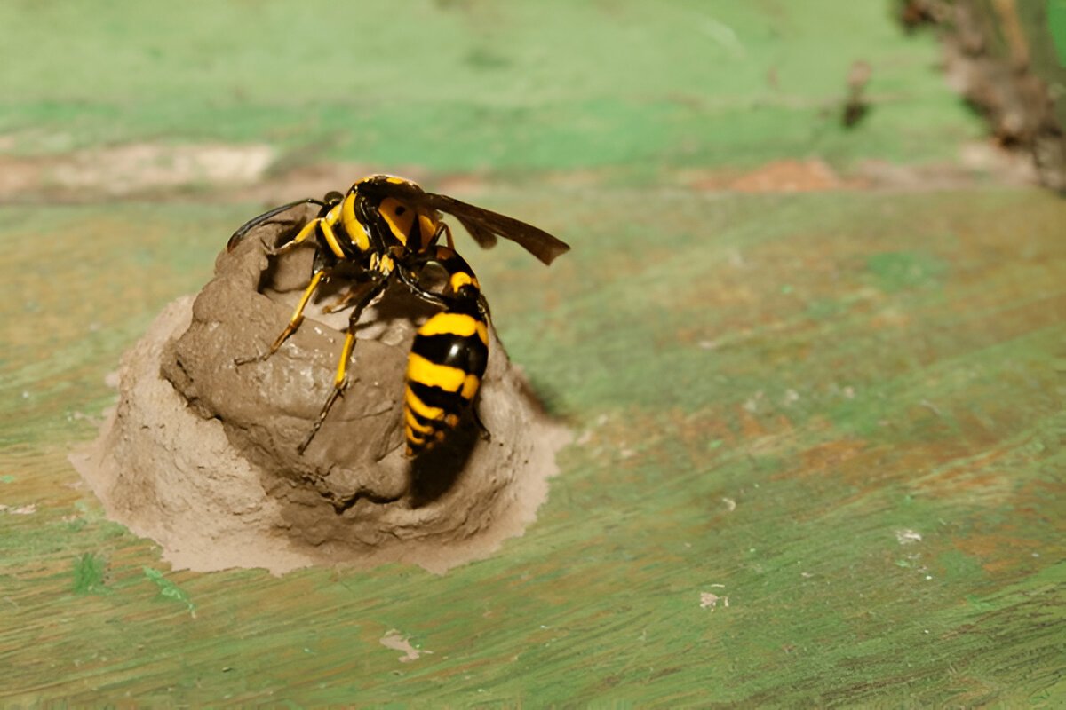 Promoting Sustainable Alternatives to Pesticides
